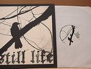 STILL LIFE - MADNESS AND THE GACKLE... ORIG US PRESS 1998 THE SUNFLOWER TRIBE