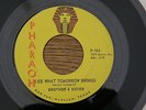 BROTHER & SISTER SEE WHAT PHARAOH orig US GARAGE POP BEAT PSYCH 7