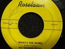 Thunder Rocks - What's The Word - Roselawn 501     VG wol