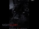 KIRLIAN CAMERA Nightglory LIMITED 2LP VINYL 2011