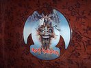 IRON MAIDEN 
