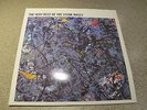 The Stone Roses - Very Best of the Stone Roses - Vinyl - 2 X LP - MINT RARE