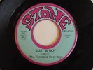 THE FANTASTIC DEE-JAYS 45 STONE LABEL  60'S PRESSING TERRY LEE GARAGE BAND