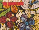 BEACH BOYS - WILD HONEY - 12