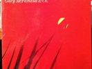 GARY MCFARLAND & CO does sun really shine on the moon LP Mint- SK-2 Skye 1968