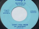 KILLER Michigan Garage 45 – THE OUTCRY - Can't You Hear - RILEYS  VG++