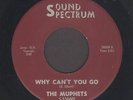 Ohio Garage 45  The Muphets  WHY CAN'T YOU GO  Sound Spectrum  hear