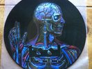 Tool Lateralus Promo Picture Disc Rare Aenima