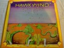 HAWKWIND 'Hawkwind' 1970 UK 1st pressing BLUE LIBERTY label Matrix A1 / B1 EX
