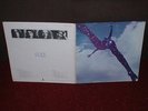 FREE Free LP 1969 PINK ISLAND 1st Press EARLIEST EVER BRILLIANT EXAMPLE