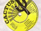reggae killer roots IN CROWD born in ethiopia CACTUS EX+