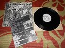 BATTALION OF SAINTS FIGHTING BOYS NUTRONS RECORDS w/ INSERT