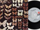 MAYFLY - Quite a Surprise 7