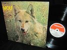 RARE 1973 UK DERAM = WOLF - CANIS LUPUS = ELECTRIFIED PROG GEM CRIMSON CARAVAN +