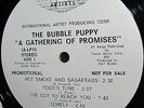  1969 WHITE PROMO = THE BUBBLE PUPPY = GATHERING = HOT SMOKE & SASAFRASS Psych