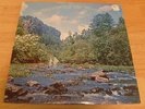 MARK & BONNIE BRANCIAROLI LP WANDERING THE WOODS PRIVATE PRESS FOLK PSYCH 1979