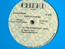 RARE PLEASURE   LET ME DOWN EASY   DISCO   FUNK   DJ COPY  