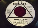 THE BASEMENT WALL 
