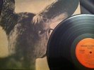 RARE SHARKEY SIGNPOSTS PRIVATE PSYCH LP WITH INSERT COPY 453 OF 500