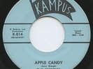 Rare Garage 45 - The Skeptics - Apple Candy - Kampus # K-814 - HEAR - Mint Minus