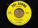 ED CROOK Detroit northern soul 45 That's Alright/You'll See   Tri-Sound NM