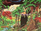 BROTHERS With MARJ SNYDER LP MINT private xian hippie folk psych '72 JESUS MUSIC
