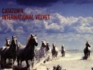 catatonia - international velvet [vinyl lp] (LP)