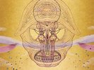 devendra banhart - what will be we be -hq- (LP NEU)