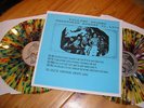 ROLLING STONES  Knebworth 21. August 1976     DoLP     multicoulor Vinyl