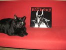 Bathory s/t lp Banzai  Red Lettering