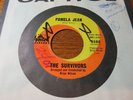 45 RPM l SURF : Survivors