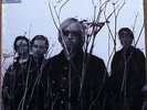 tom petty and the heartbreakers - echo  -  sealed  vinyl