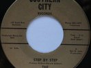 Rare Northern Soul Dancer 45 - Poodles ''Step By Step'' SOUTHERN CITY mp3