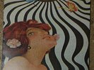 ZEN GUERILLA - Shadows On The Sun - Rare LP