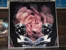 DEATH IN JUNE rose clouds of holocaust LP sol invictus blood axis boyd rice c93