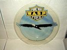 W.A.S.P  - FOREVER FREE  - UNCUT PICTURE DISC RARE**