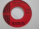 RARE N/SOUL - DEE WONDER & THE RHYTHM FAME - WHAT YOU'VE DONE - WARE - MINT-