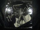 LED ZEPPELIN PICTURE DISC RIOT HOUSE