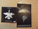 KINGS OF LEON - Aha Shake Heartbreak limitiert 2x10