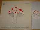 MUSHROOM   EARLY ONE MORNING   RARE IRISH HAWK VINYL LP 1973   PSYCH PROG FOLK