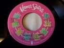 FLAMIN GROOVIES Yesterdays Numbers RARE US 7