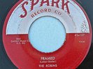 The ROBINS 45 Framed  SPARK 107 ORIGINAL VG+  DOO WOP R&B  1954