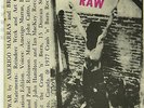 Diodes RAW/WAR, picture sleeve, 1977, MINT, rare KBD Crash'n'Burn