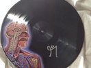 Tool Lateralus LP Pic Discs RARE Signed by band Alex Grey CoSM Sacred Mirrors