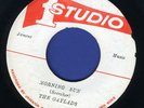 1092 GAYLADS-I'LL PRETEND-MORNING SUN-STUDIO 1-1966 REGGAE 45 7