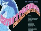 Satan's Pilgrims - Psychsploitation (col. 180g LP) DAVIE ALLAN & THE ARROWS/60'S