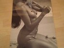 Sexy Nude Cover Cheesecake LP Hawaii Dreams Laura Gemser 2 LP Harry Kalapana