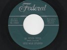 '55 Rockin' Piano/Blues Instros LITTLE WILLIE LITTLEFIELD Jim Wilson Boogie HEAR