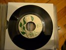 Rare Psych Mod beat bespokè- E.G.smith and the power /  Soul Garage  listen