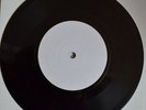 RENATO ZERO - PALEOBARATTOLO/SERGENTE NO - 7